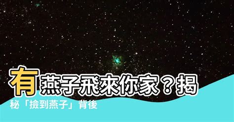 燕子代表什麼|【燕子 意義】揭秘燕子的隱喻世界：從「雕題賞折」看燕子象徵。